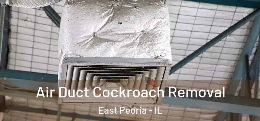 Air Duct Cockroach Removal East Peoria - IL