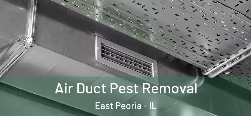  Air Duct Pest Removal East Peoria - IL