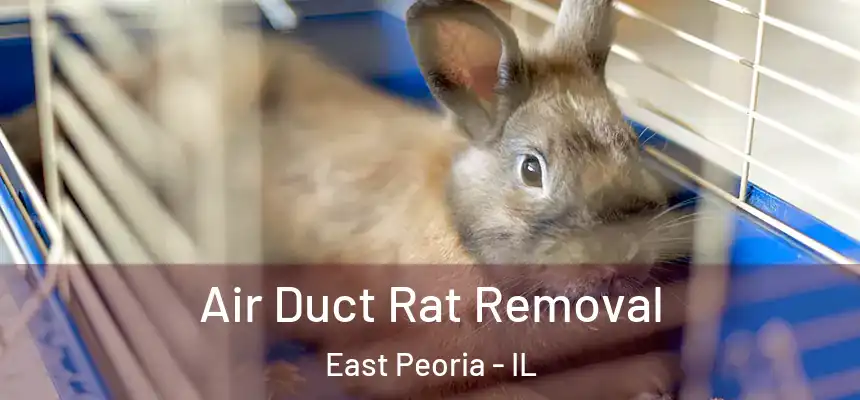 Air Duct Rat Removal East Peoria - IL