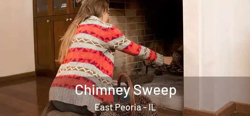 Chimney Sweep East Peoria - IL