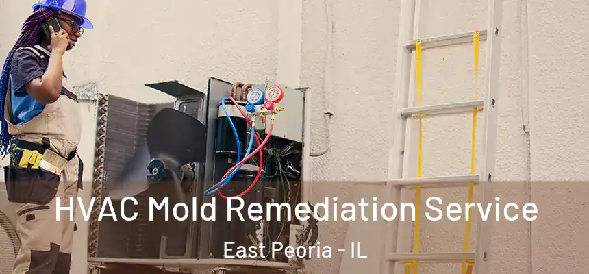  HVAC Mold Remediation Service East Peoria - IL