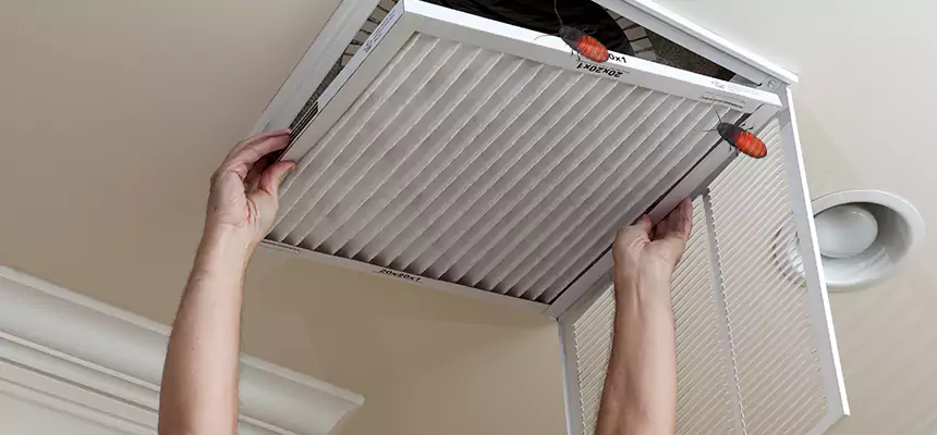 Preventive Cockroach-Proofing for Ducts in East Peoria