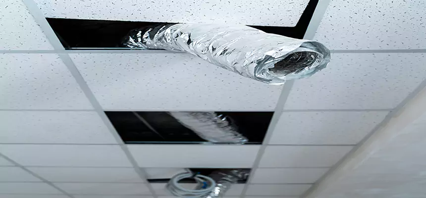 Affordable HVAC Sanitizing After Pest Removal in East Peoria