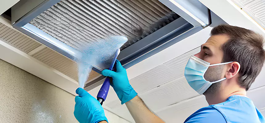 Proactive Dryer Vent & Auxiliary Duct Pollen Cleanup in East Peoria, IL