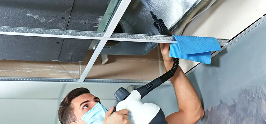 Our Air Duct Rodent Removal Services in East Peoria, IL