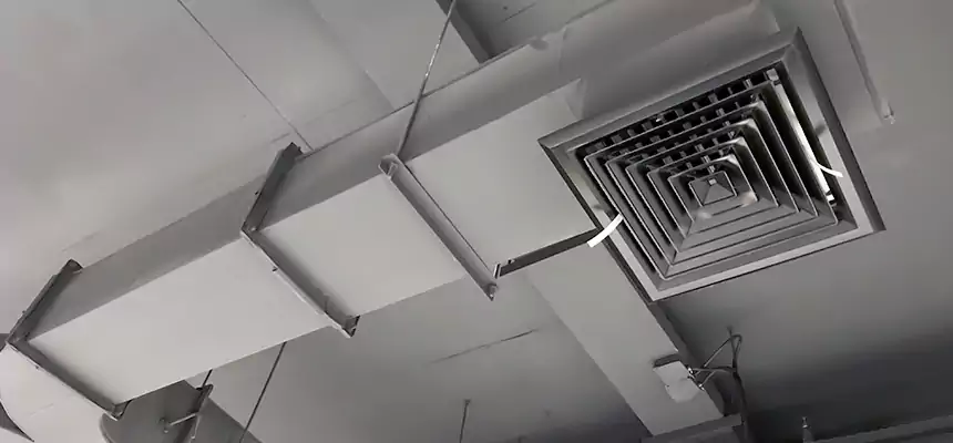 Restorative Allergy Relief Vent Cleaning – Coil, Blower & Housing Detail in East Peoria