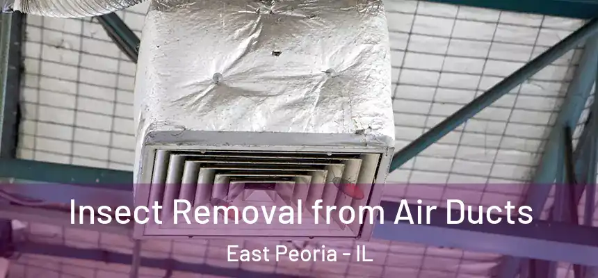 Insect Removal from Air Ducts East Peoria - IL