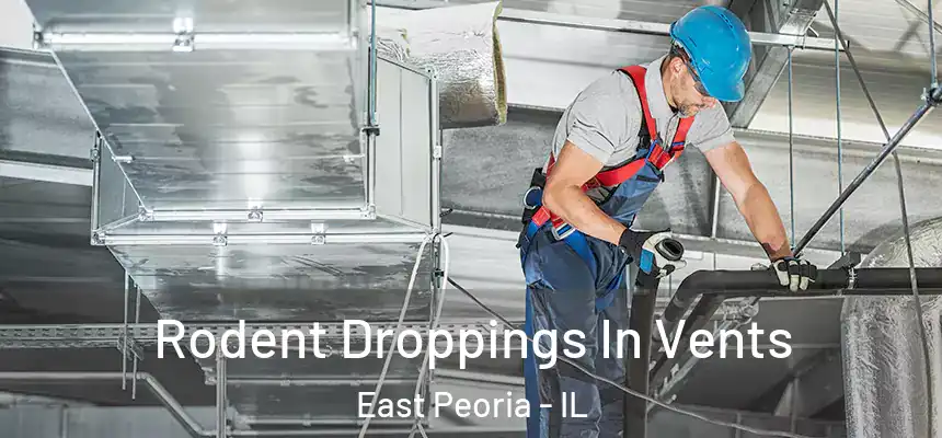 Rodent Droppings In Vents East Peoria - IL
