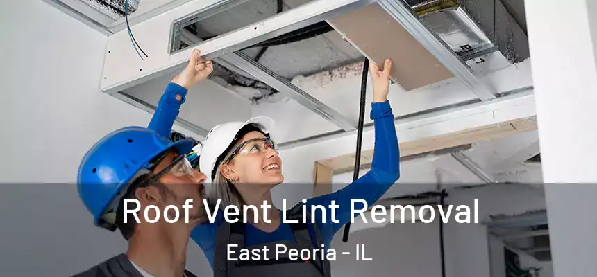 Roof Vent Lint Removal East Peoria - IL