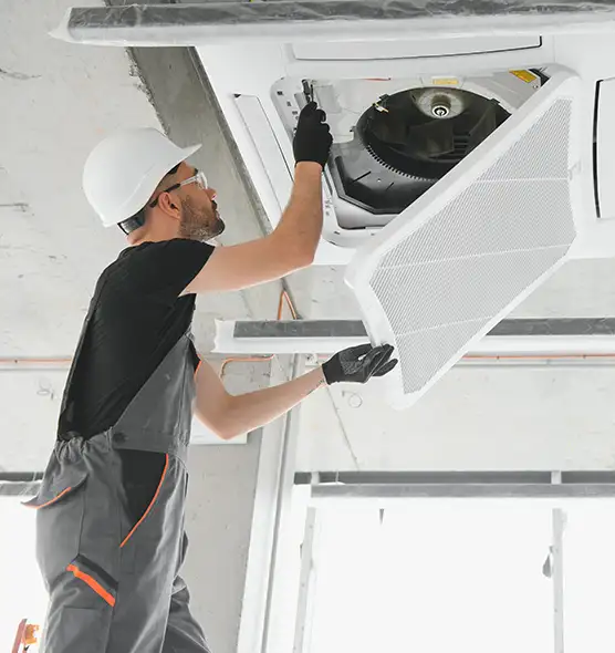 About Air Duct Rodent Removal in East Peoria, IL