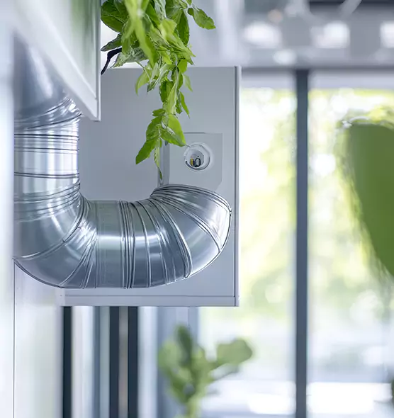 Professional Eco-Safe Dryer Vent Cleaning in East Peoria, IL