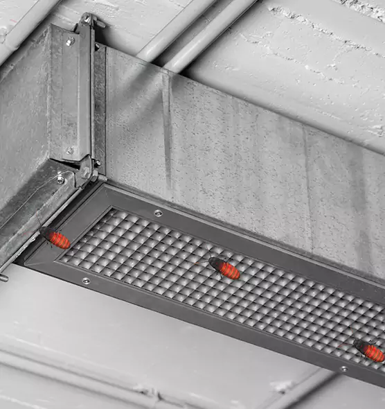 Affordable Insect Removal from Air Ducts in East Peoria, IL