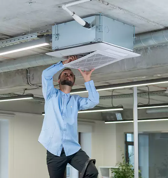 Advanced Rodent Droppings In Vents in East Peoria, IL