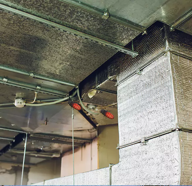 Why Homeowners & Businesses Trust Us in East Peoria, IL?