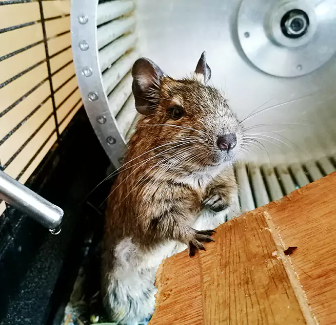 Why Homeowners & Businesses Trust Us East Peoria, IL?